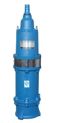 QGY.QGYD不锈钢油浸式潜水螺杆泵